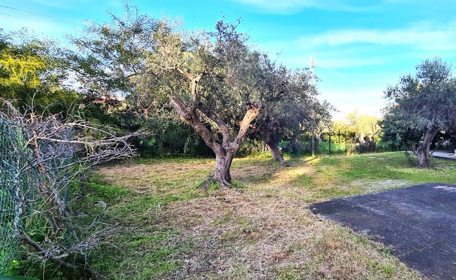فيلا Giardino San Nicola تْرابْيا المظهر الخارجي الصورة